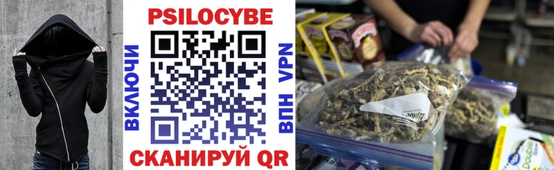 Псилоцибиновые грибы Cubensis  Купить закладки  Адыгейск 